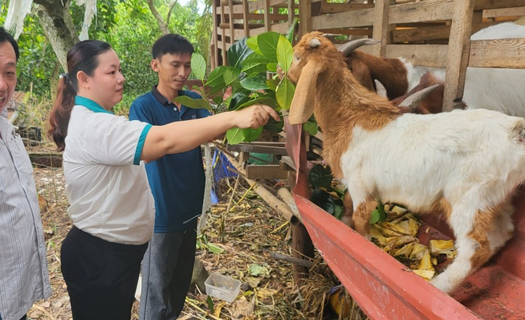 Gần gũi tiếp xúc cử tri - Nhiều vấn đề bức xúc được giải quyết kịp thời